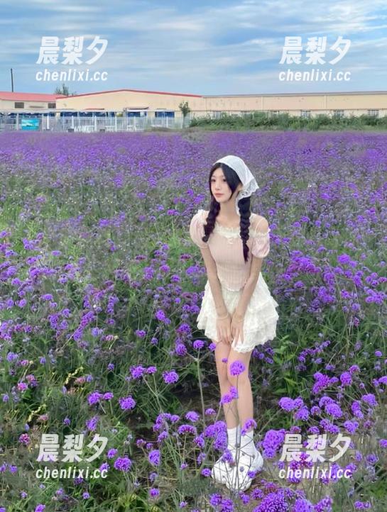 观看吃瓜爆料，今天的八卦你准备好接招了吗？快来这里找刺激！
